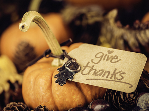 Giving Thanks>